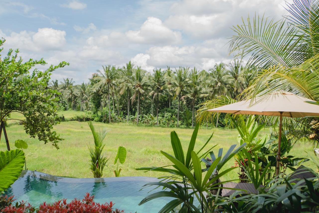 Mancur Guesthouse Ubud Eksteriør bilde