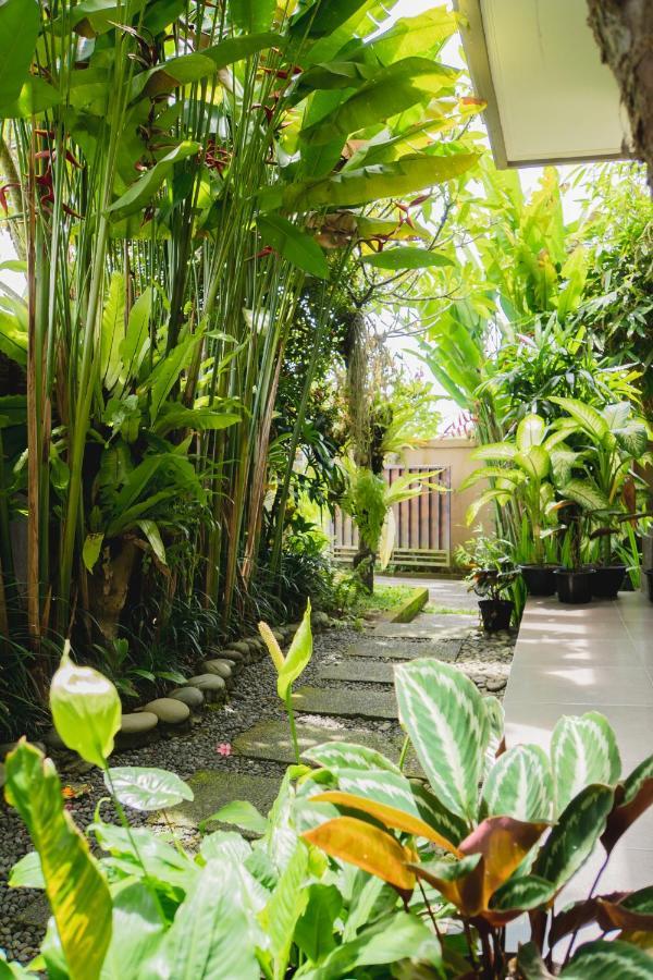 Mancur Guesthouse Ubud Eksteriør bilde