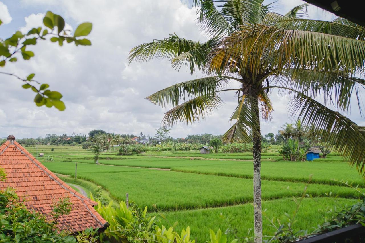 Mancur Guesthouse Ubud Eksteriør bilde