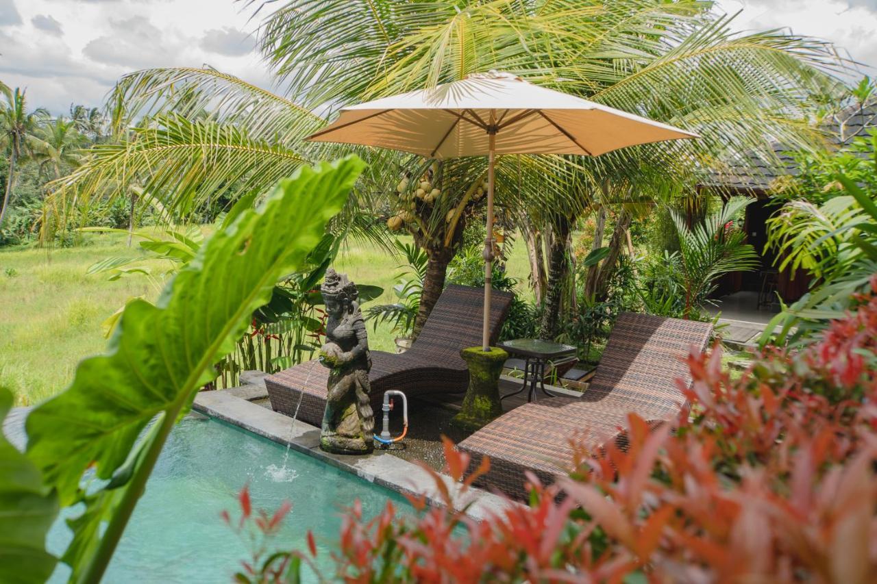 Mancur Guesthouse Ubud Eksteriør bilde