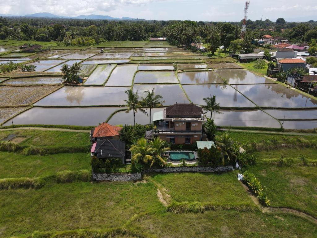 Mancur Guesthouse Ubud Eksteriør bilde